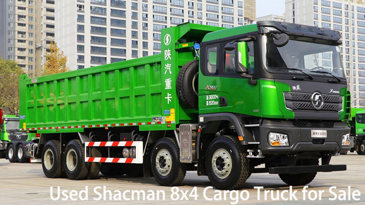 Camion cargo Shacman 8x4 X3000 d'occasion SX3319 à vendre en Namibie